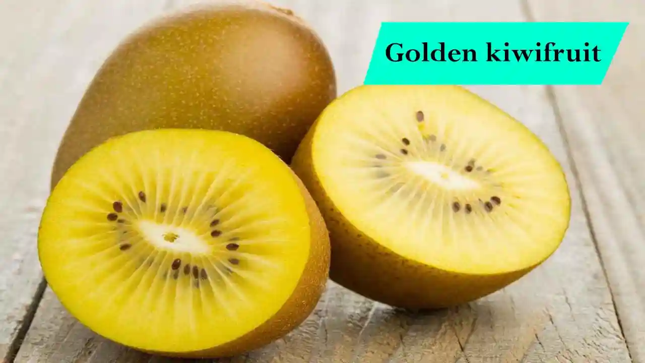 Golden kiwi benefits and Easy Plant Care