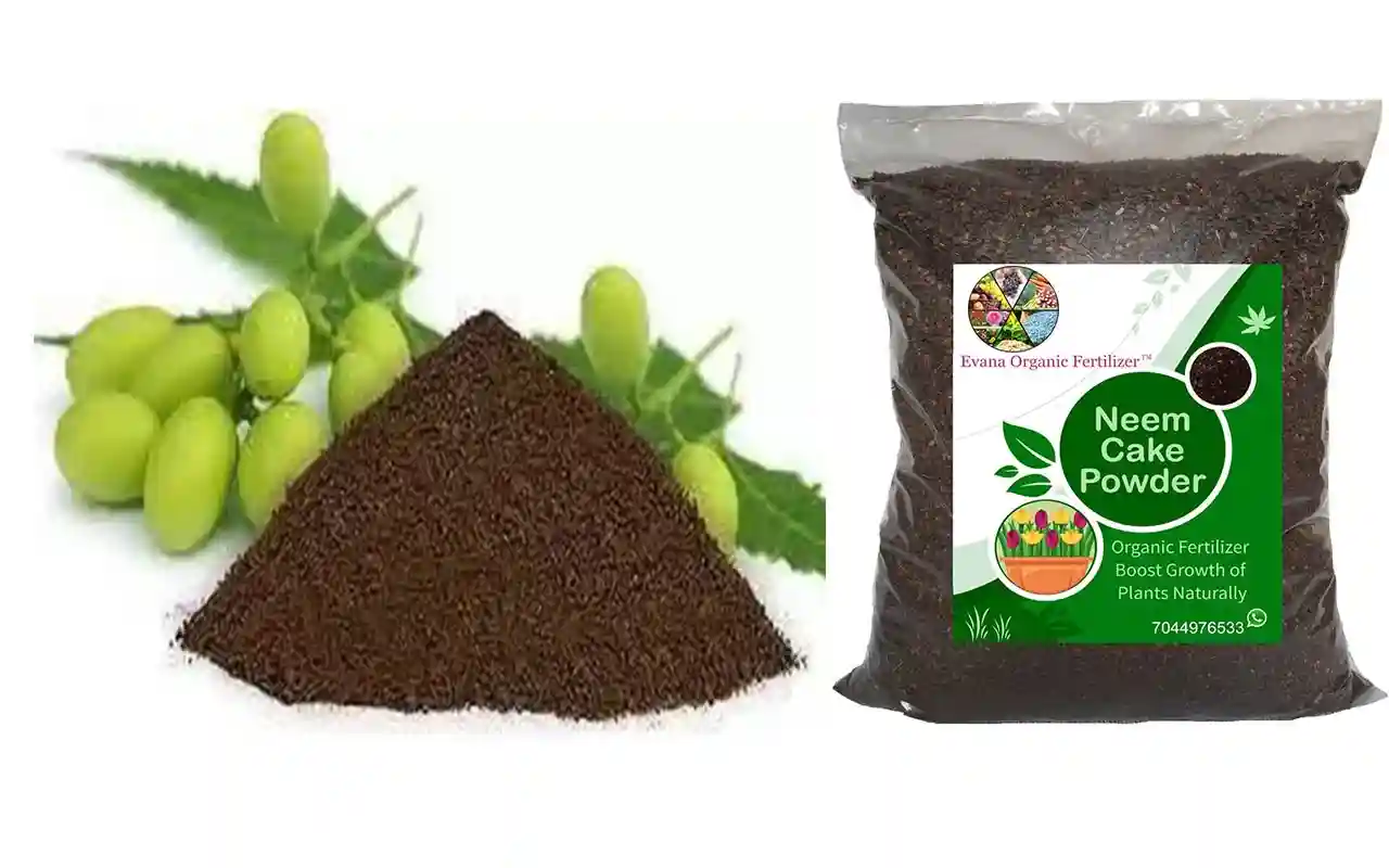 Neem Cake Fertilizer